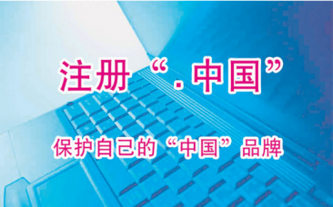 中文域名的種類——煙臺(tái)網(wǎng)絡(luò)推廣