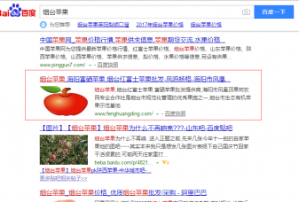 鳳鳴楊格蘋果關鍵詞優(yōu)化案例